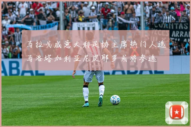 马拉戈成意大利足协主席热门人选马洛塔加利亚尼皮耶罗或将参选