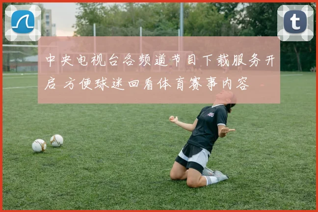 中央电视台各频道节目下载服务开启 方便球迷回看体育赛事内容